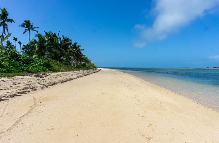 The sandy shores of Pangaimotu Island, Tonga.