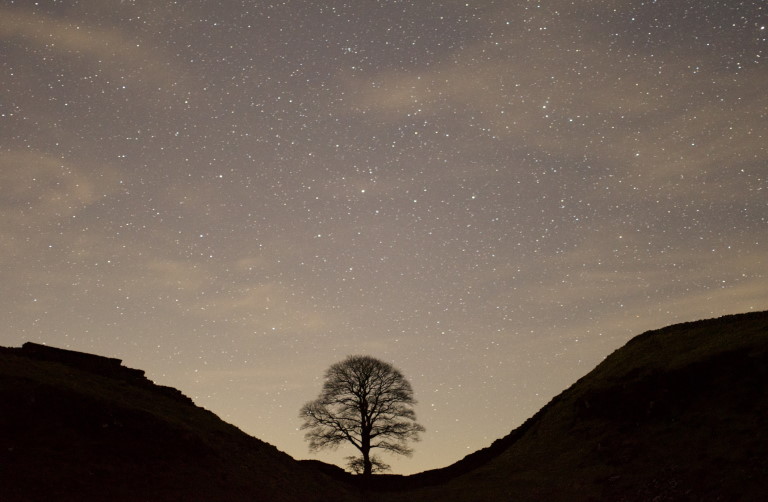 Stargazing in Northumberland International Dark Sky Park