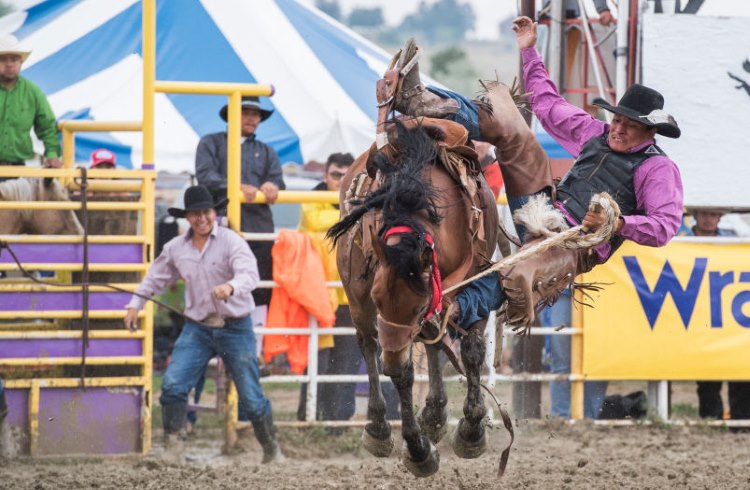A tribal member rides a bronco during the rodeo at Crow Fair in Montana