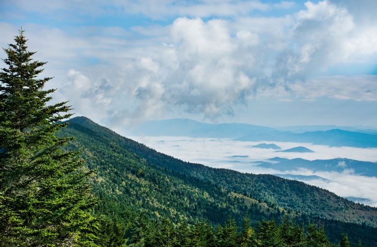 A panoramic view of forested mountains from the top of Mt. Mitchell, North Carolina