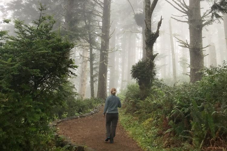 A woman hikes through a misty forest on the Oregon Coast Trail, USA.