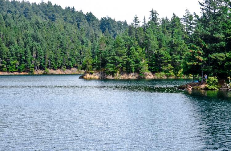 Green fir trees line the azure waters of Mountain Lake, Orcas Island, Washington.
