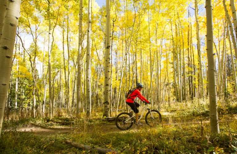 4 of the Best Places for Mountain Biking in the US