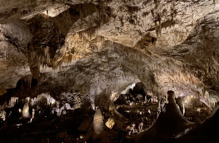 Stalactites and stalagmites in the Big Room at Carlsbad Cavern, New Mexico..
