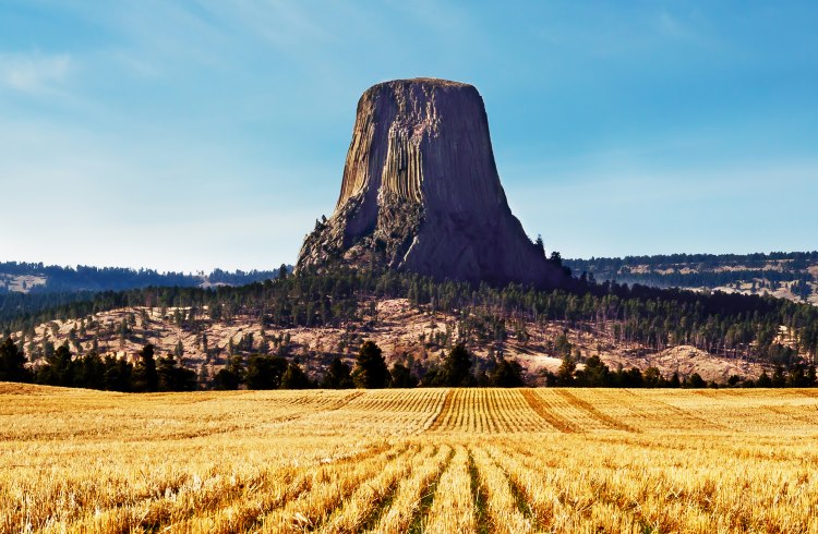 Devil's Tower National Monument, a famous butte in northwestern Wyoming.