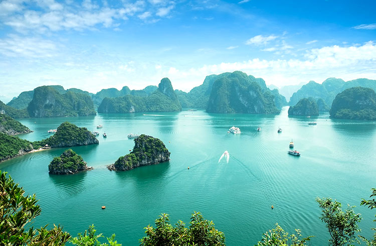 halong bay cruise 2 days 1 night