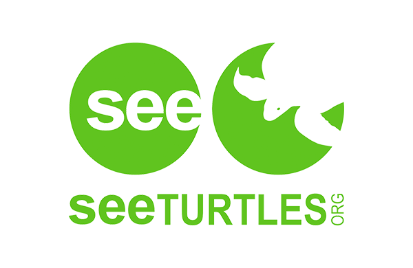 SEE Turtles