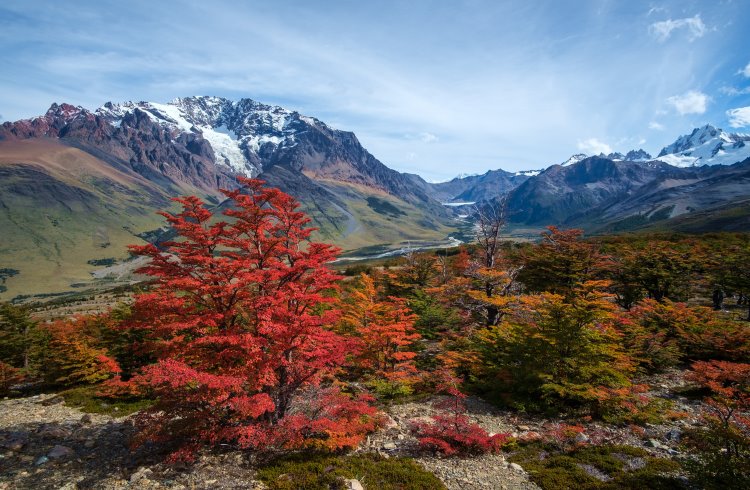 Weather in Argentina: The Best Times to Visit