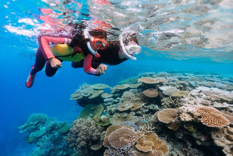 Snorkeling in crystal clear tropical water