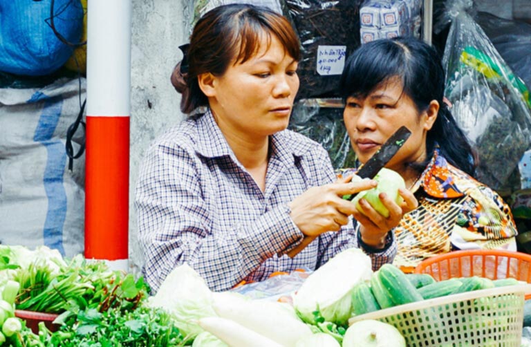 Vietnamese Travel Phrasebook