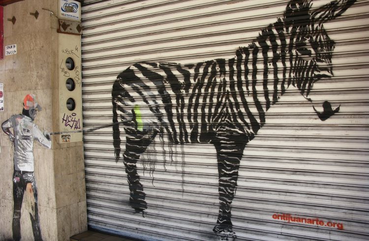 Street art in Tijuana, Mexico showing a zonkey - a donkey painted like a zebra.
