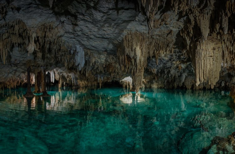 Cenotes The Jewels Of The Yucatan