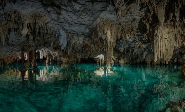 Cenotes, the Jewels of the Yucatán