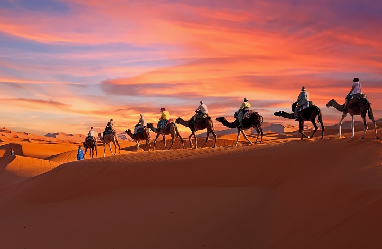 People riding on camels in the sand dunes