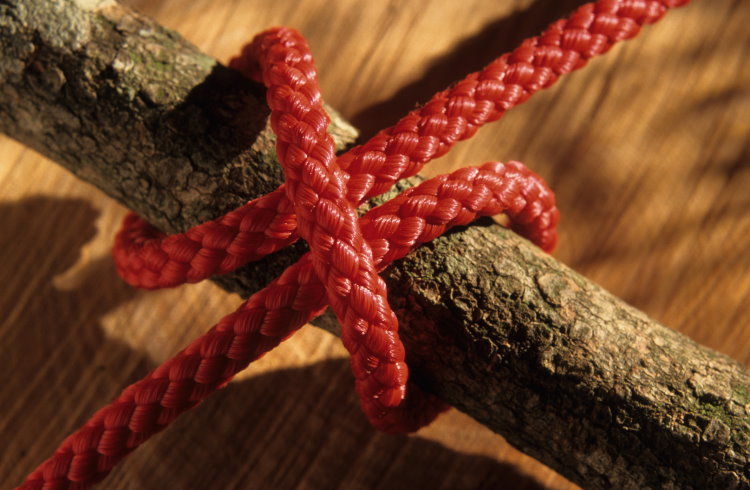A clove hitch knot wrapped around a stick.
