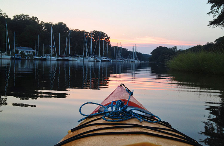 Kayaking on a Quiet Cove on the Chesapeake Bay