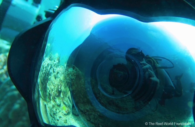 SCUBA diver taking photo of own reflection