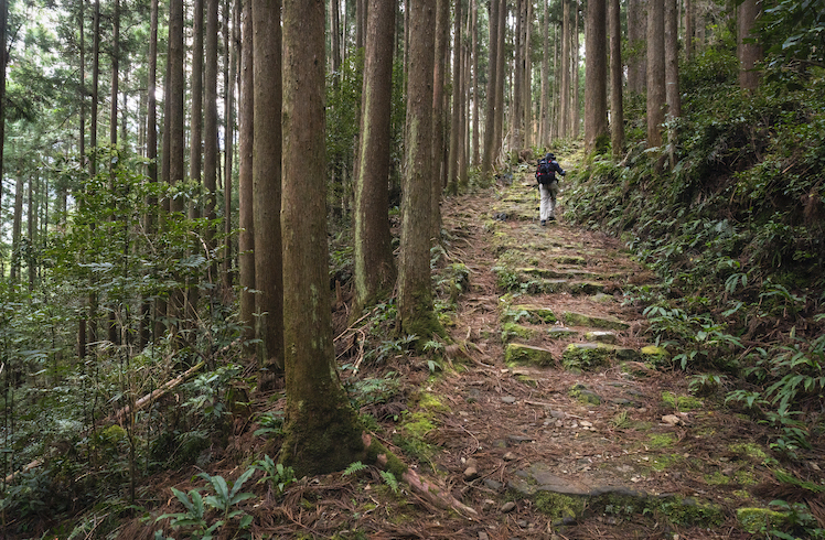 A hiker on the Kumano Kodo.