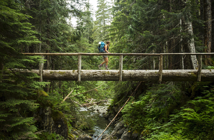 Traveler crosses log bridge