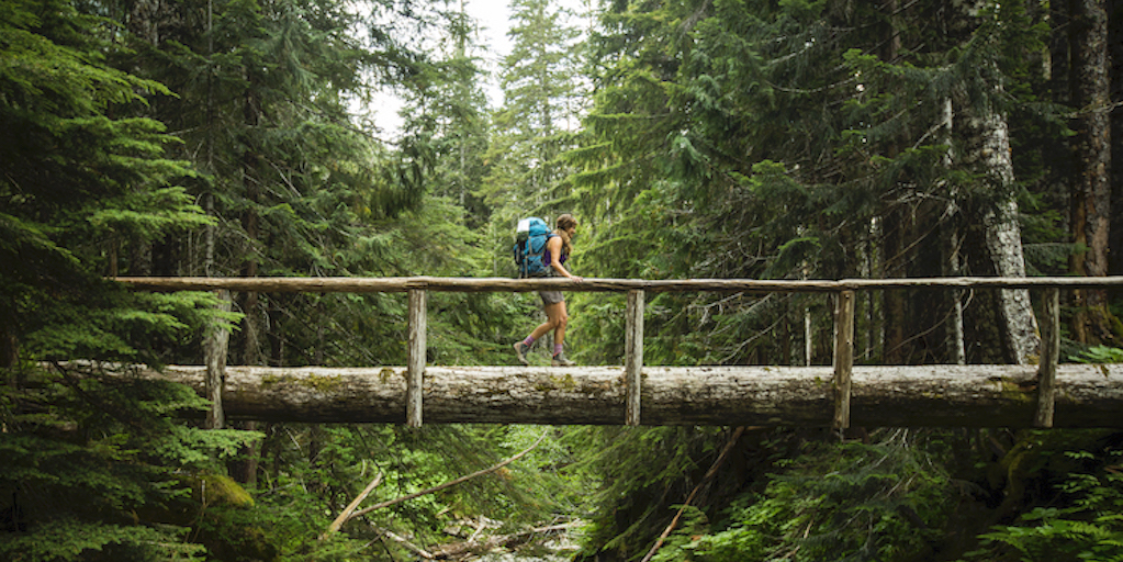 Sustainable Travel Packages With Carbon Offset Options Sustainable Travel Packages With Carbon Offset Options
