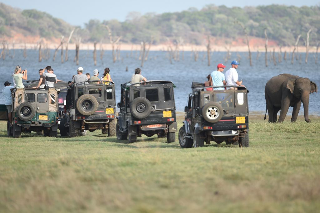 Tourists on safari