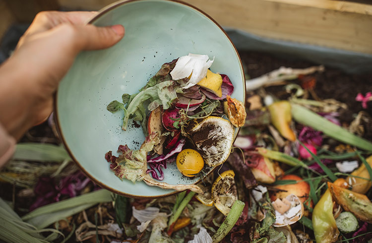 Eat at Restaurants With Zero-waste Dining When You Travel