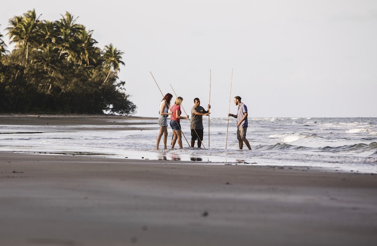 Daintree beach walk.