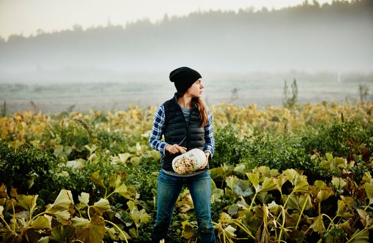 A woman harvesting