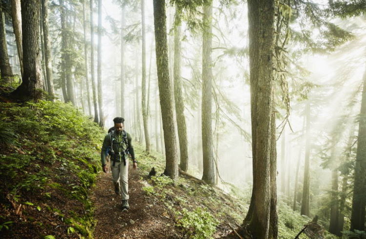 A Black hiker on a solitary trail in Washington state, USA.