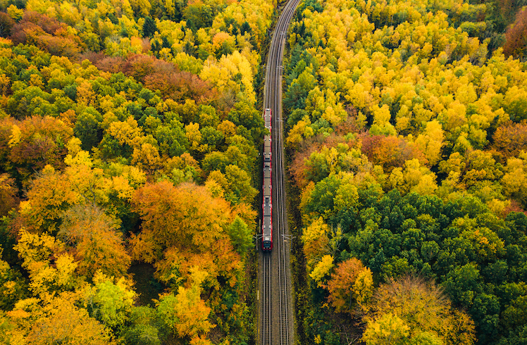 A train travels through autumnal trees