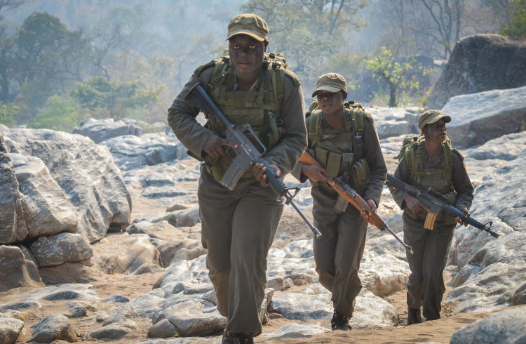 Members of an all-female anti-poaching unit on patrol in Kenya.
