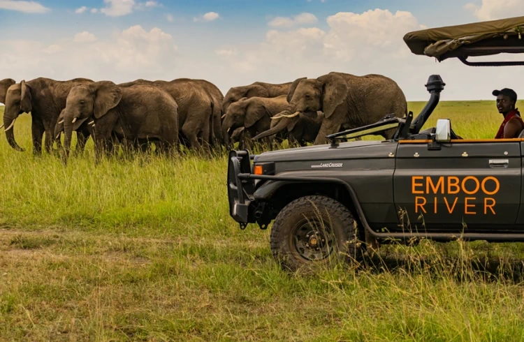 A driver parks next to a herd of elephants in an electric-powered safari vehicle in Kenya.