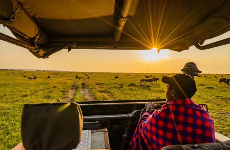 A Maasai guide drives an electric-powered safari vehicle in Kenya.