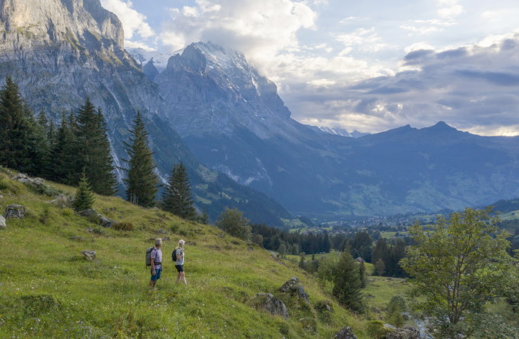 A senior couple hiking in the Swiss Alps.