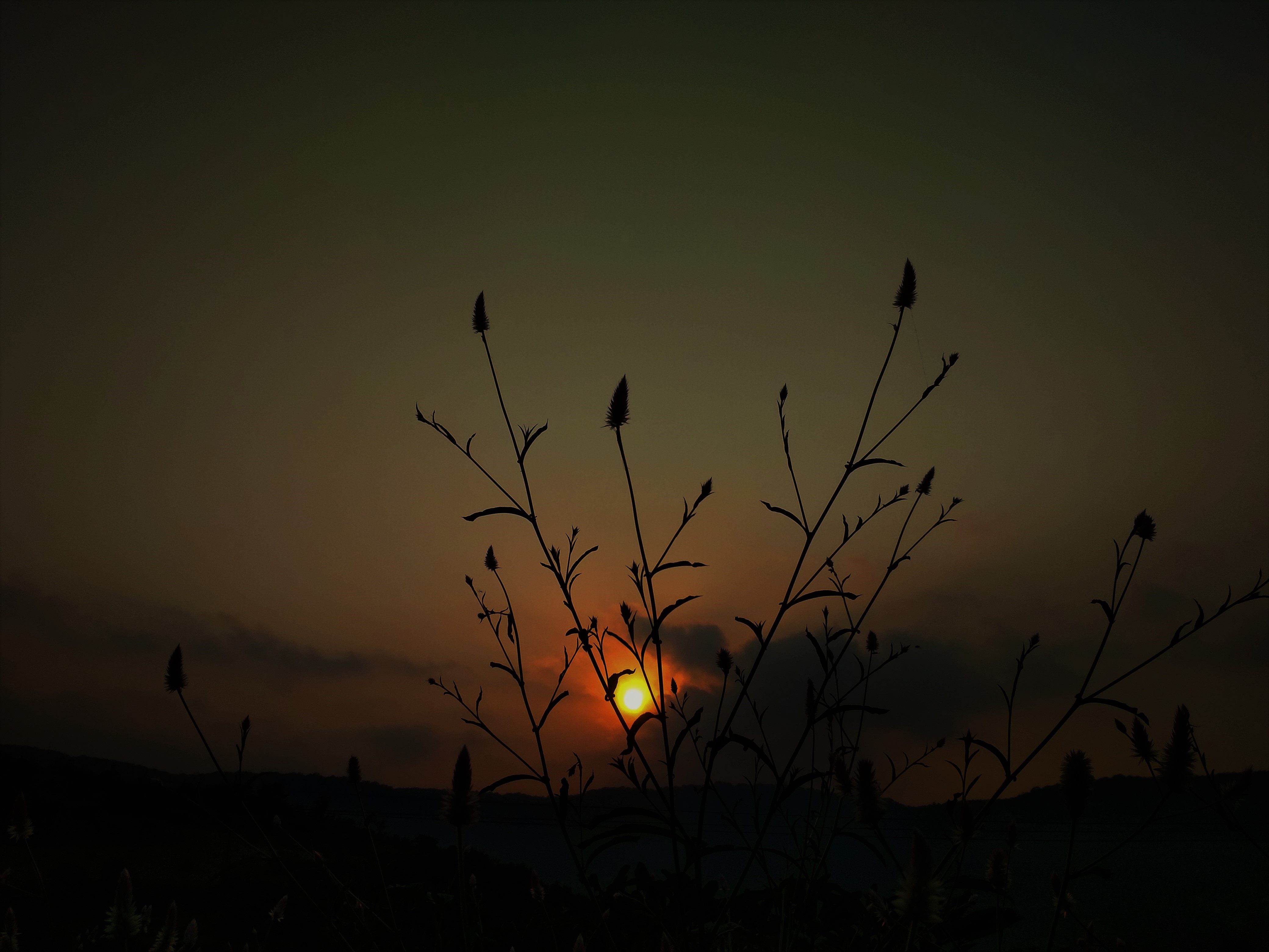 Beautiful things don't ask for attention.