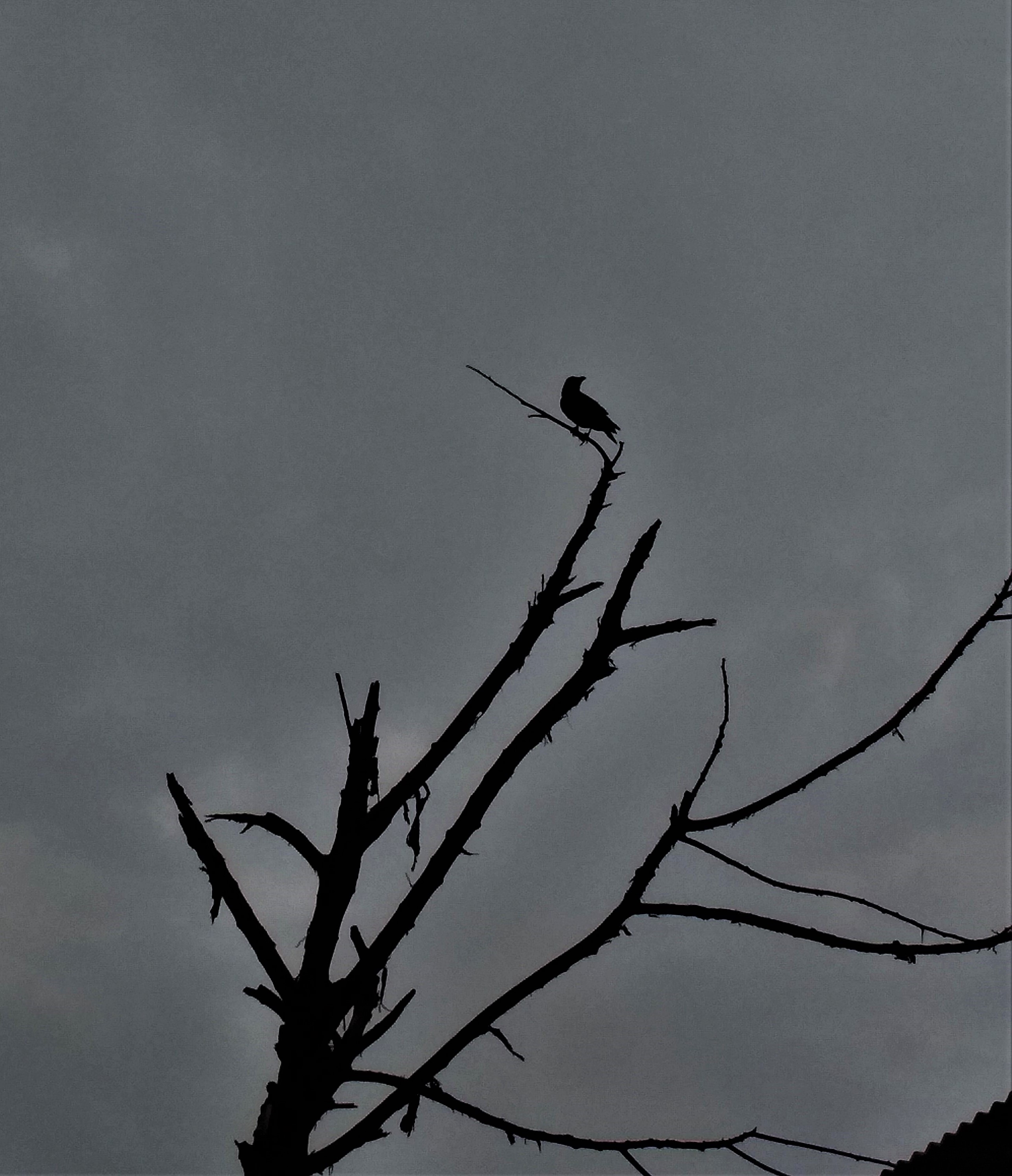 Rest for a while, regain your strength and then be ready for the next flight.