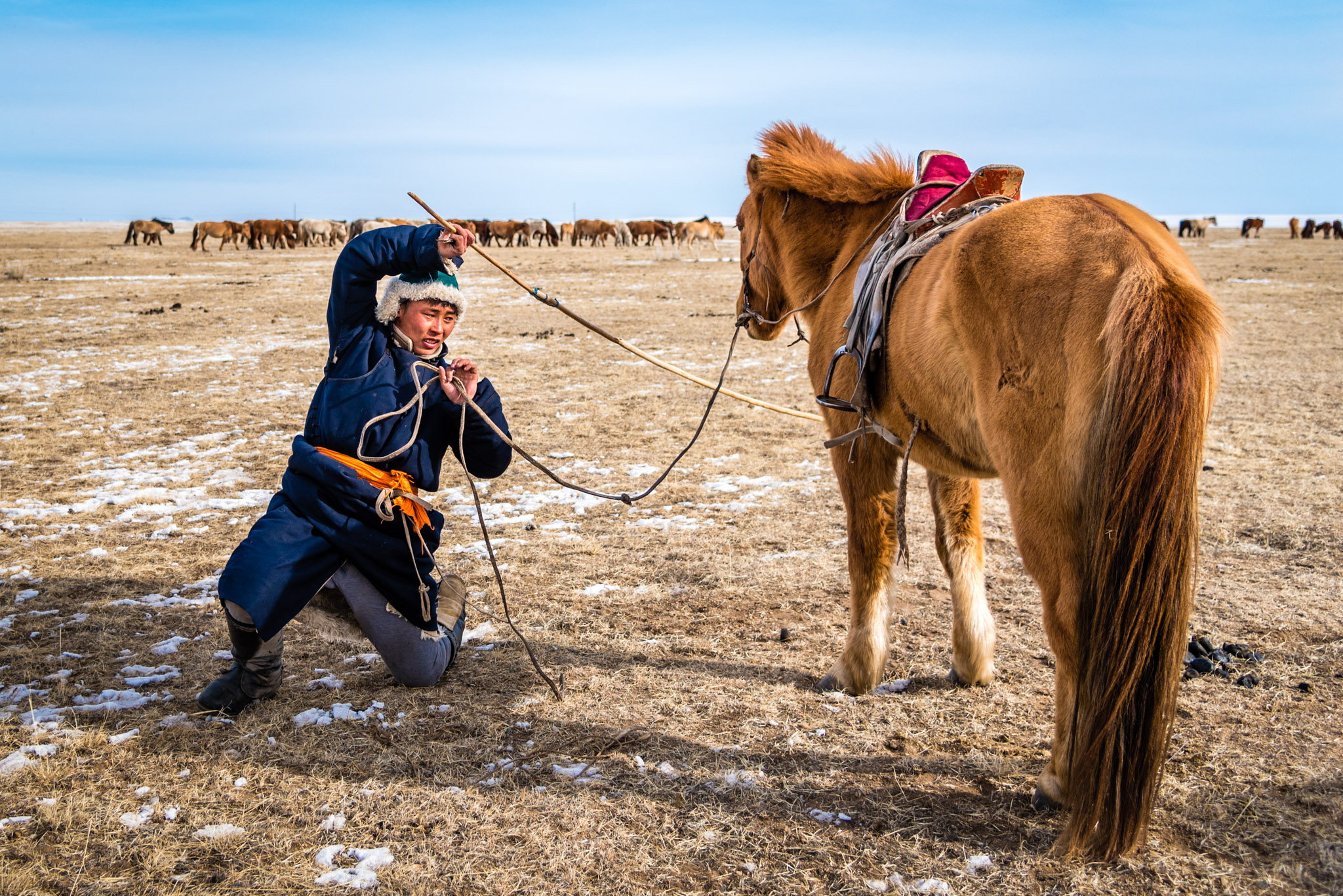 Traditions in Mongolia are very much alive. Breeding and taming horses are among them.