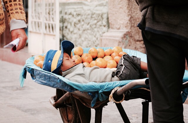 A young boy sleeps among oranges seconds before being awakened as his fathers picks up the wheelbarrow in search of the next selling destination.