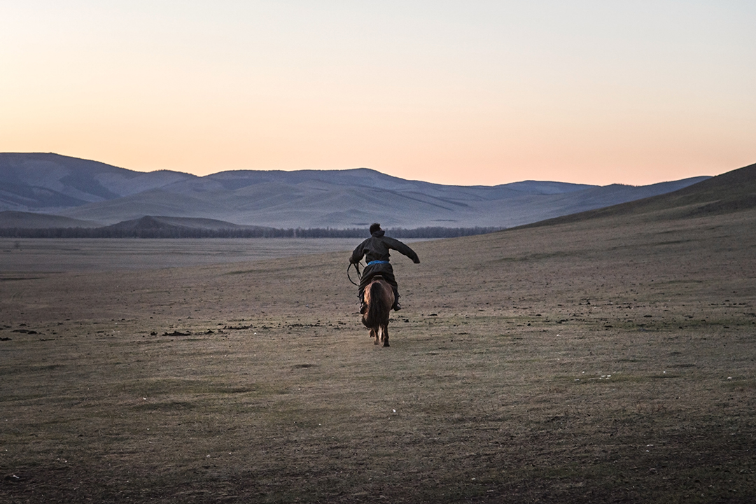 Mongolian nomads are skillful knights and are regarded as direct descendants of Emperor Genghis Khan who rode across the asia creating his vast and glorious empire. 