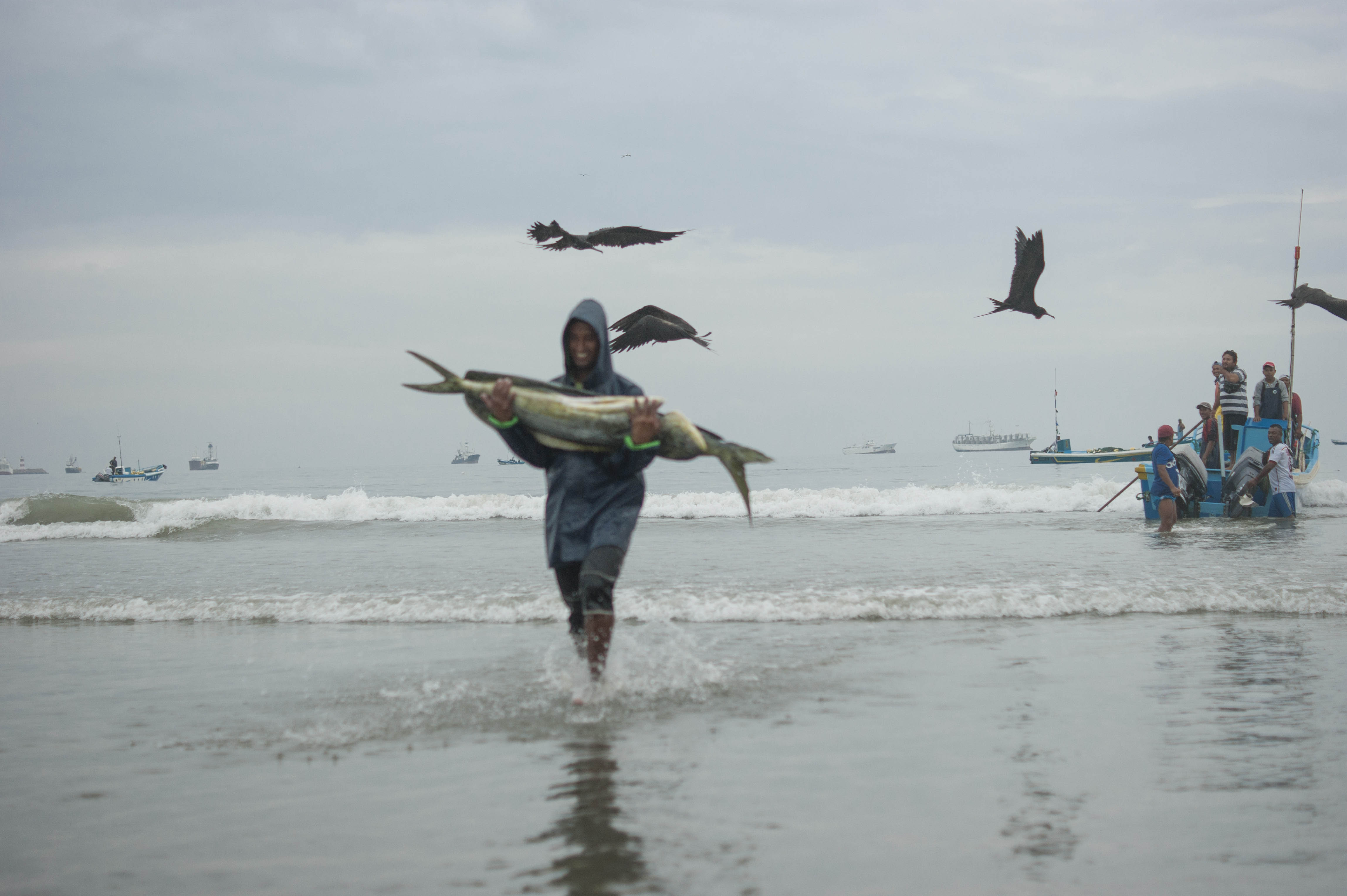 The cach of the day is taken to the beach by a fish collector in the town of Port Lopez, Ecuador