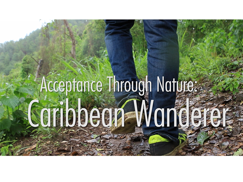 Acceptance Through Nature: Caribbean Wanderer 