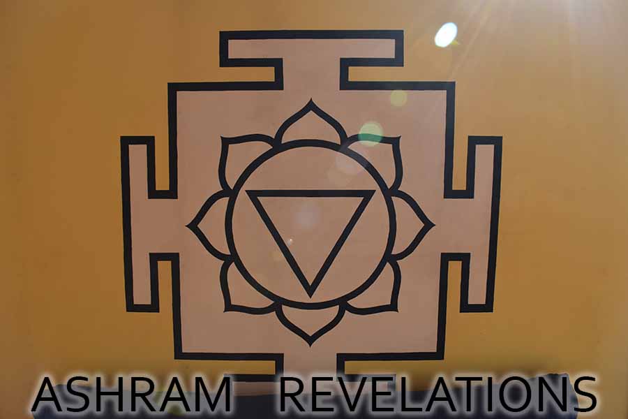 Ashram Revelations