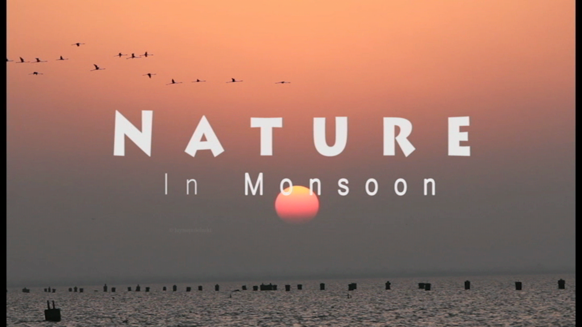 Nature in monsoon