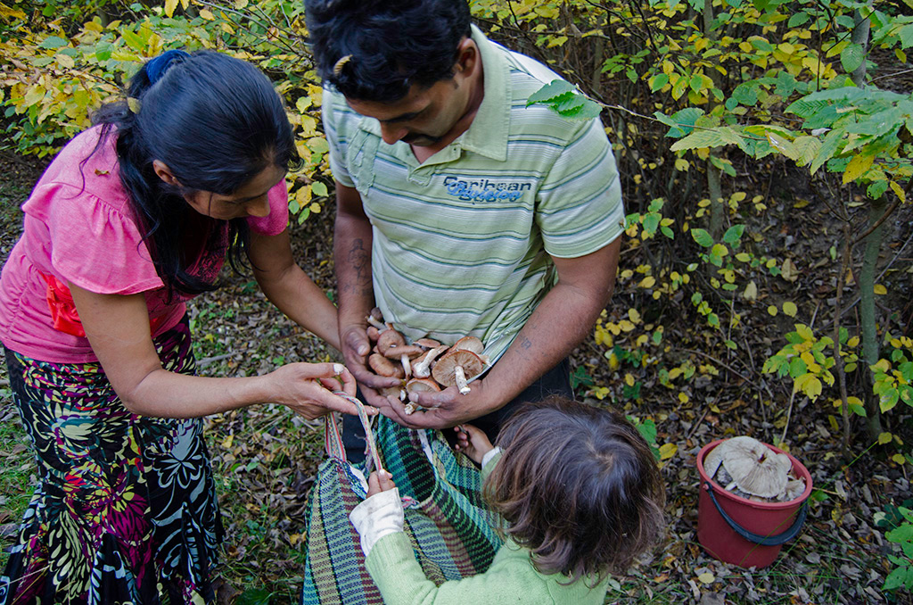 Families in Hetea are living mostly off the mushrooms and the berries they collect from the forest. They barely survive from selling them in the local market, along with other products which they handcraft (baskets, brooms, wooden spoons etc.).