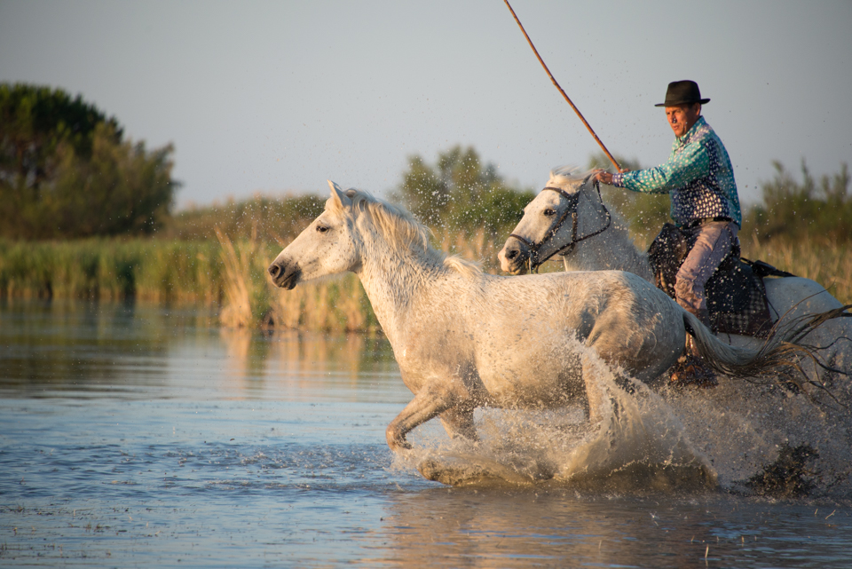 The Brotherhood of Camargue Horsemen has been tending the herds since the 1500s. Their identity is shown through wearing a brightly coloured, patterned shirt and holding their traditional long sticks.
