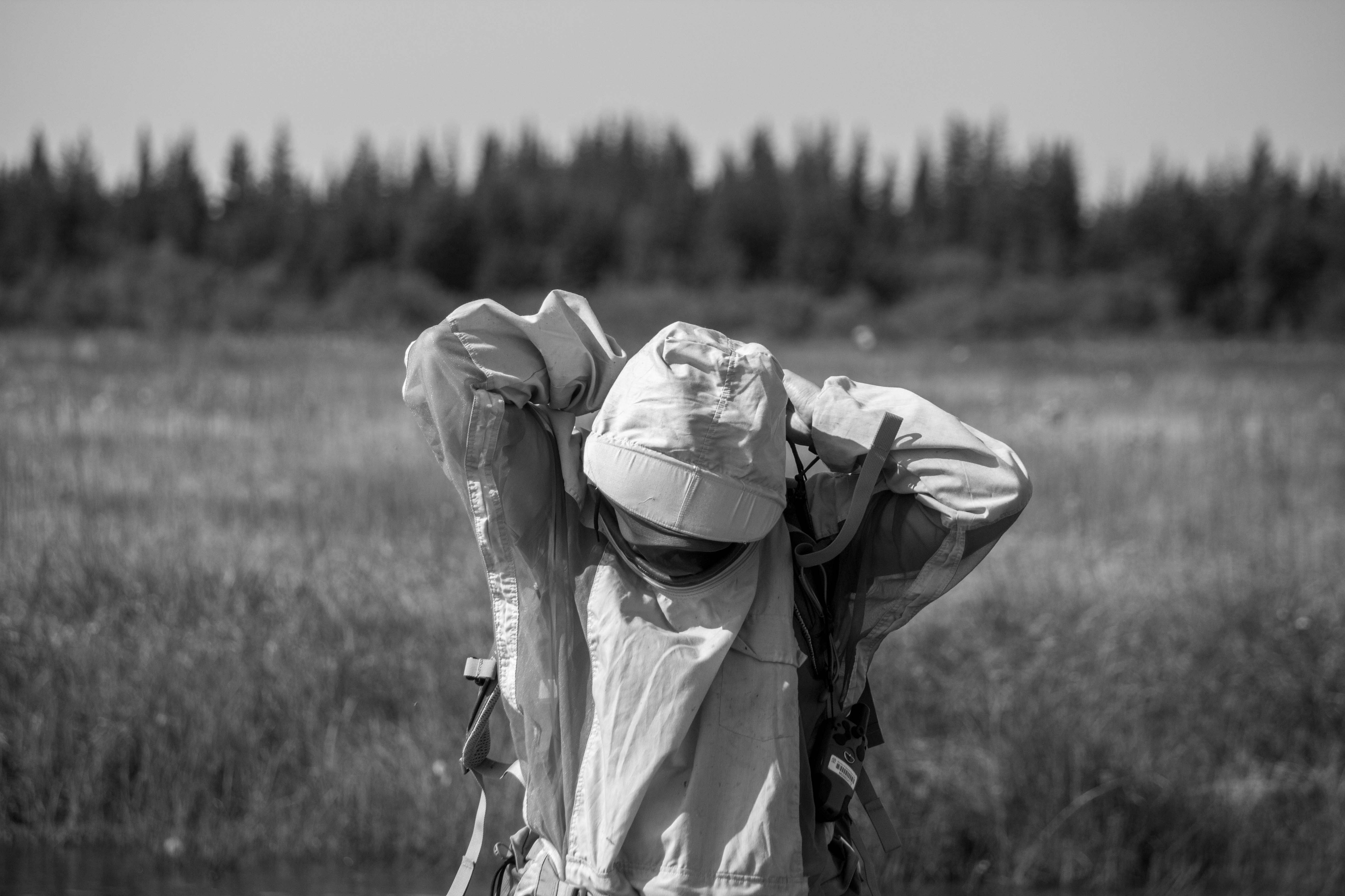 Emelie puts on her bug jacket in the field to keep off the mosquitoes.