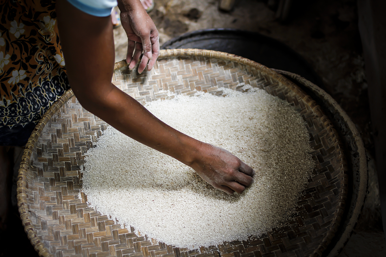 Rice without impurities and empty grain. In Kasepuhan village the rice is cultivated only for the community needs, harvesting just once a year.
