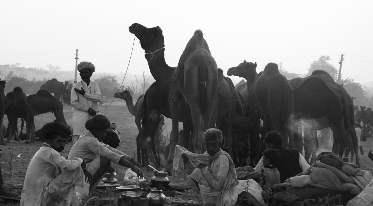 The five day fair sees villagers who have travelled for several days and hundreds of kilometers with their humped animals. These villagers make the fair ground their home for the duration of the fair.