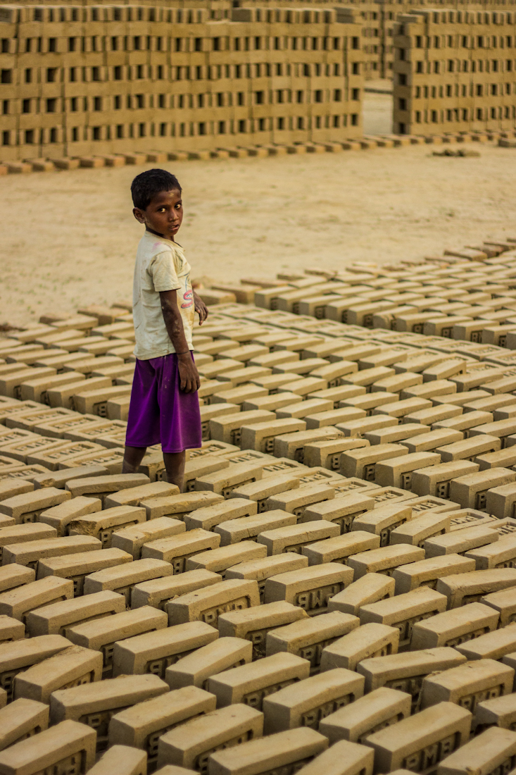 Young boy in the morning arranging fresh bricks to be taken to the oven.