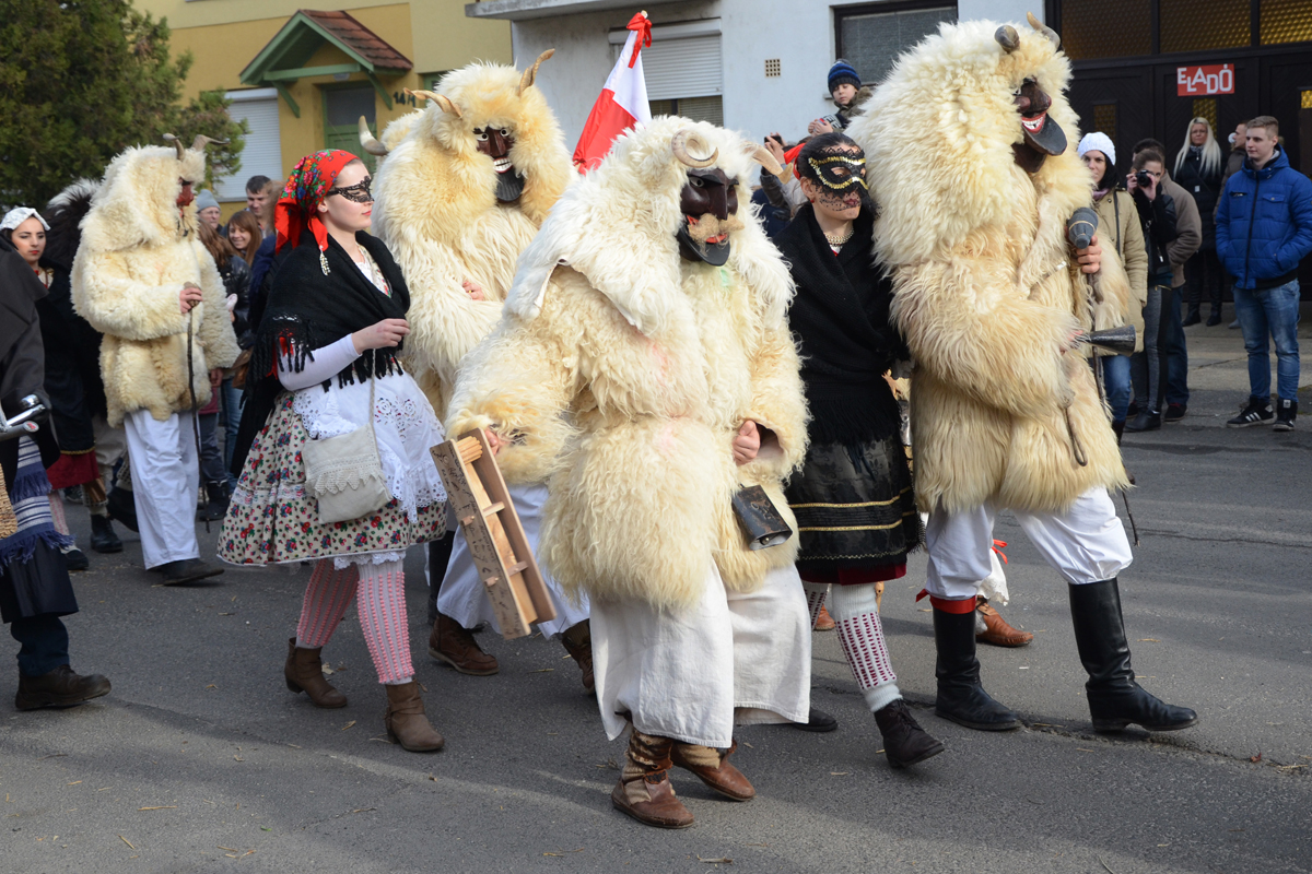 Busójárás is a festival in Mohács. Busó groups are walking through the city, making noise with cowbells and rattles to scare off winter. Men wear frightening horned wooden masks and big sheepskin costumes, women wear national costume.